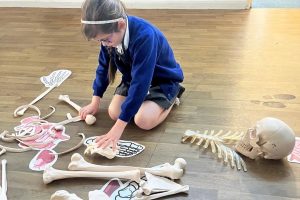construct boys girl constructing a skeleton